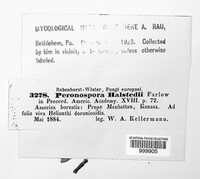 Image Associated With the Occurrence